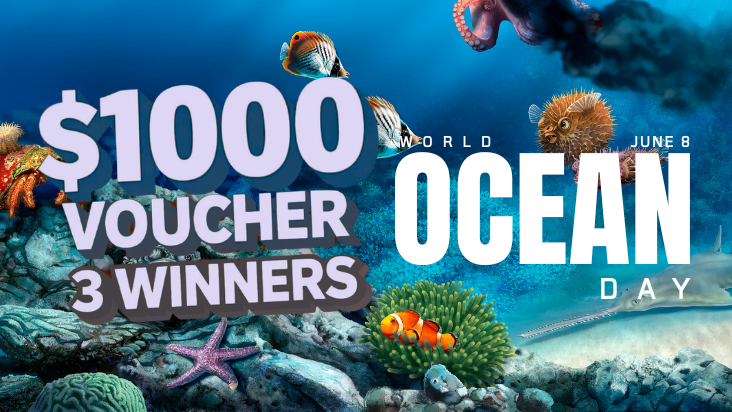 Giveaway 71 winners announcement banner