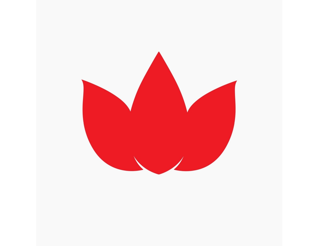 laxmi Investments